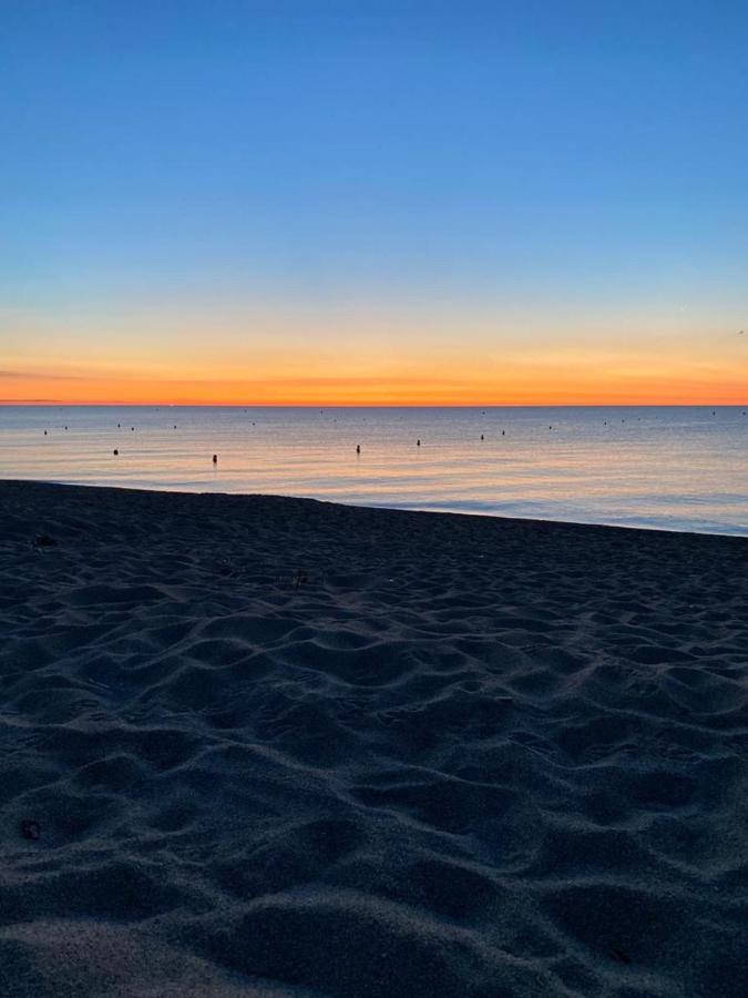 Un Petit Nid Les Pieds Dans L'Eau Apartment Argeles-sur-Mer Luaran gambar